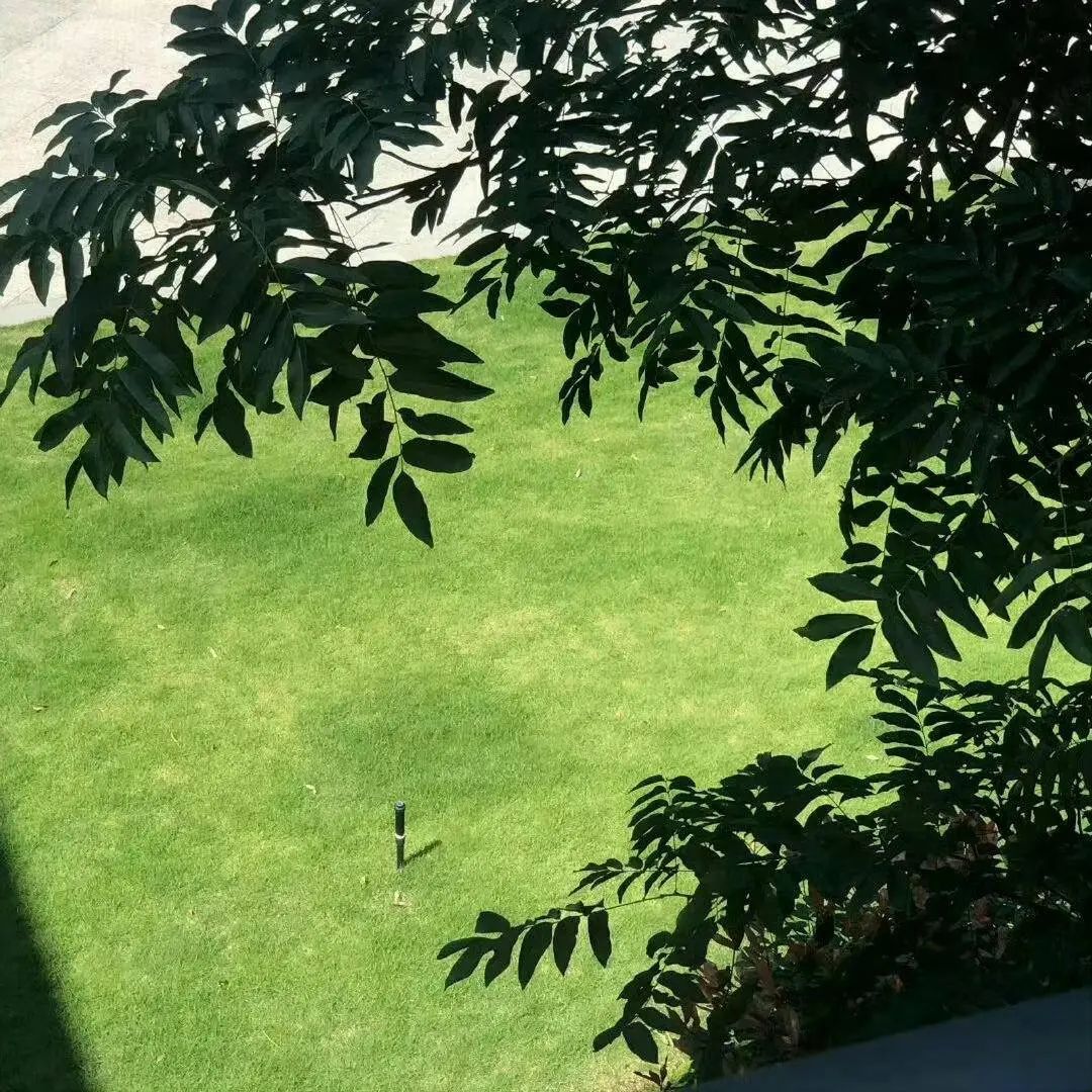 字字不努力，字字在发光